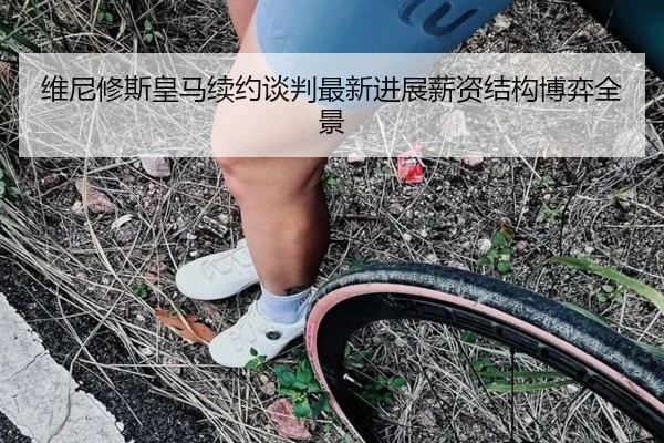 wei-ni-xiu-si-huang-ma-xu-yue-tan-pan-zui-xin-jin-zhan-xin-zi-jie-gou-bo-yi-quan-jing-2-673.jpg